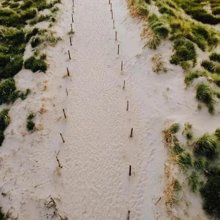 Lejlighed Sunny Spacious De Bijenkorf Zandvoort