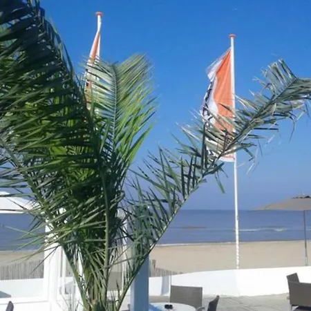 Sunny Spacious De Bijenkorf Zandvoort