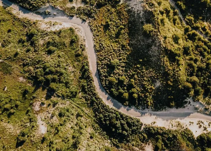 Sunny Spacious De Bijenkorf ザントフォールト