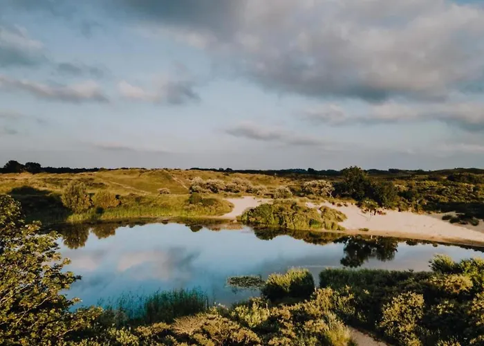 Sunny Spacious De Bijenkorf