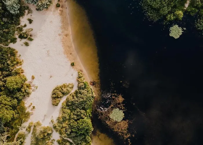 Sunny Spacious De Bijenkorf アパート