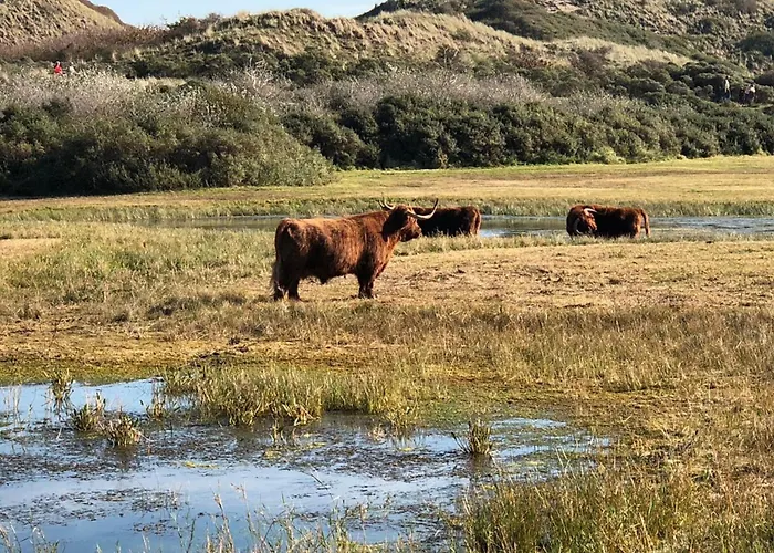 アパート Sunny Spacious De Bijenkorf