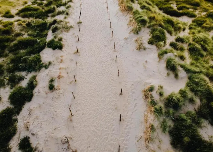 アパート Sunny Spacious De Bijenkorf ザントフォールト