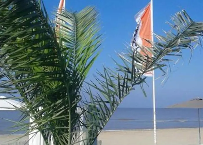 Sunny Spacious De Bijenkorf ザントフォールト