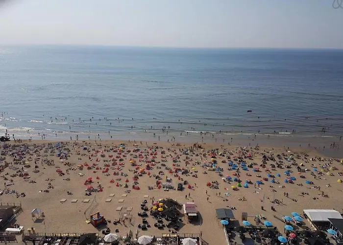 Sunny Spacious De Bijenkorf